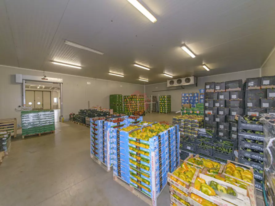 Immagine 30 di Capannone industriale in vendita  in Via Sandro Pertini a Melzo