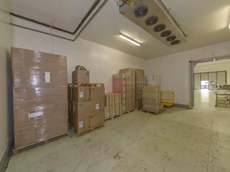Immagine 45 di Capannone industriale in vendita  in Via Sandro Pertini a Melzo