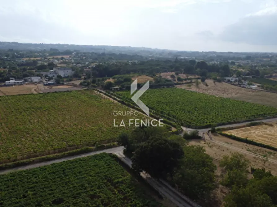 Immagine 3 di Rustico / casale in vendita  in contrada cicerone a Ostuni