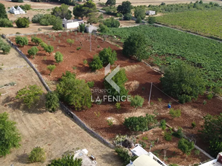 Immagine 6 di Rustico / casale in vendita  in contrada cicerone a Ostuni