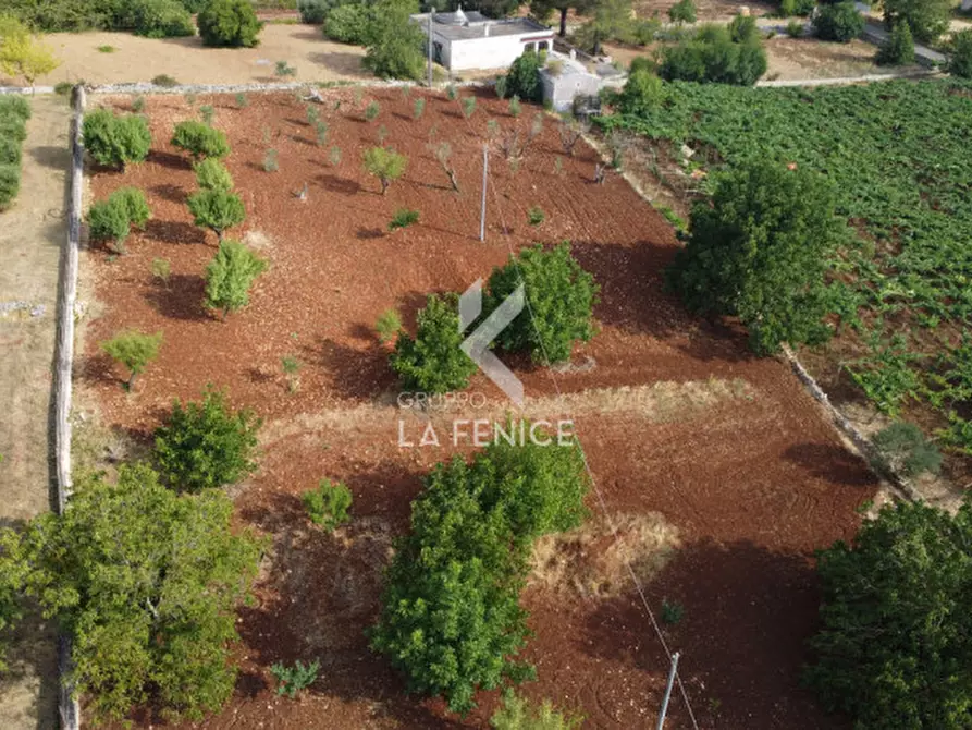 Immagine 17 di Rustico / casale in vendita  in contrada cicerone a Ostuni