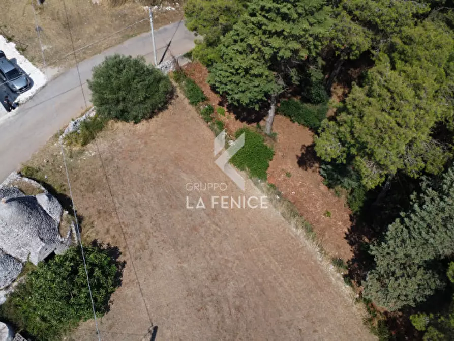 Immagine 4 di Rustico / casale in vendita  in strada casette del vento a Martina Franca