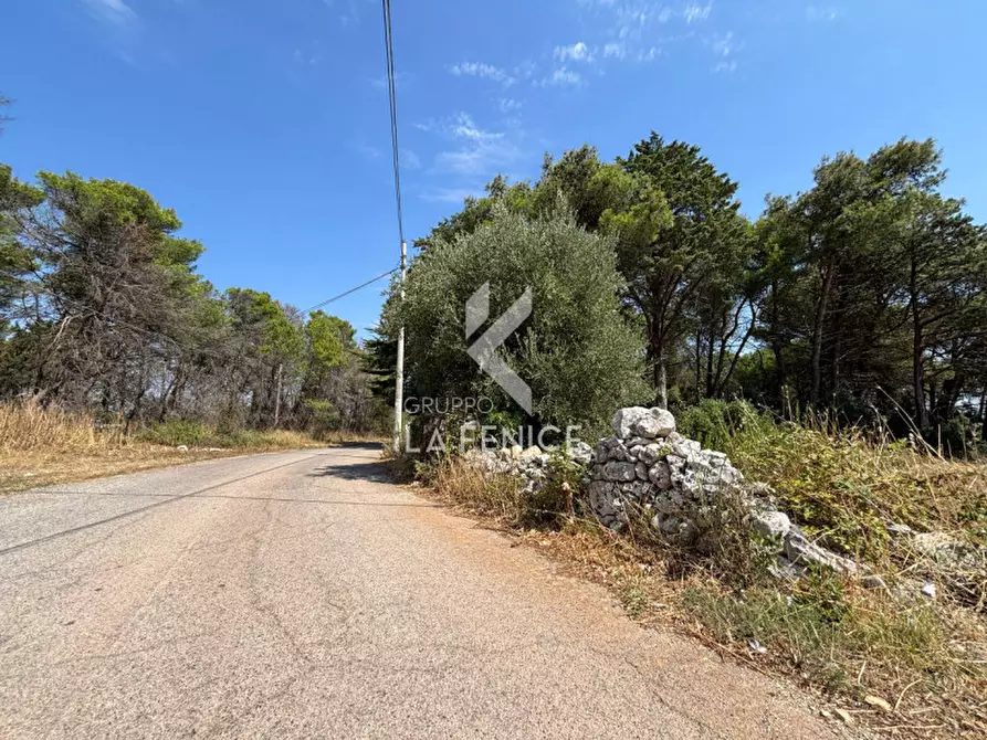 Immagine 7 di Rustico / casale in vendita  in strada casette del vento a Martina Franca