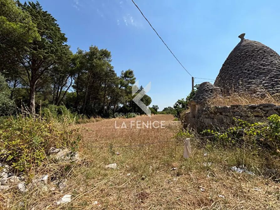 Immagine 10 di Rustico / casale in vendita  in strada casette del vento a Martina Franca