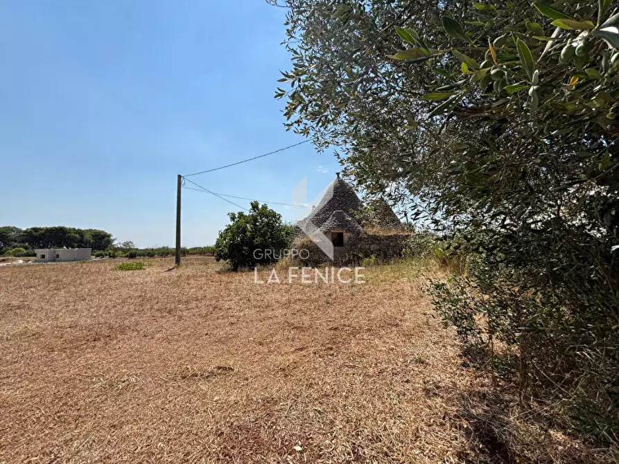 Immagine 13 di Rustico / casale in vendita  in strada casette del vento a Martina Franca