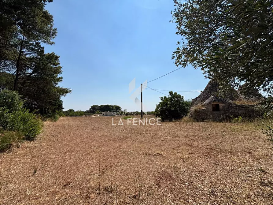 Immagine 15 di Rustico / casale in vendita  in strada casette del vento a Martina Franca