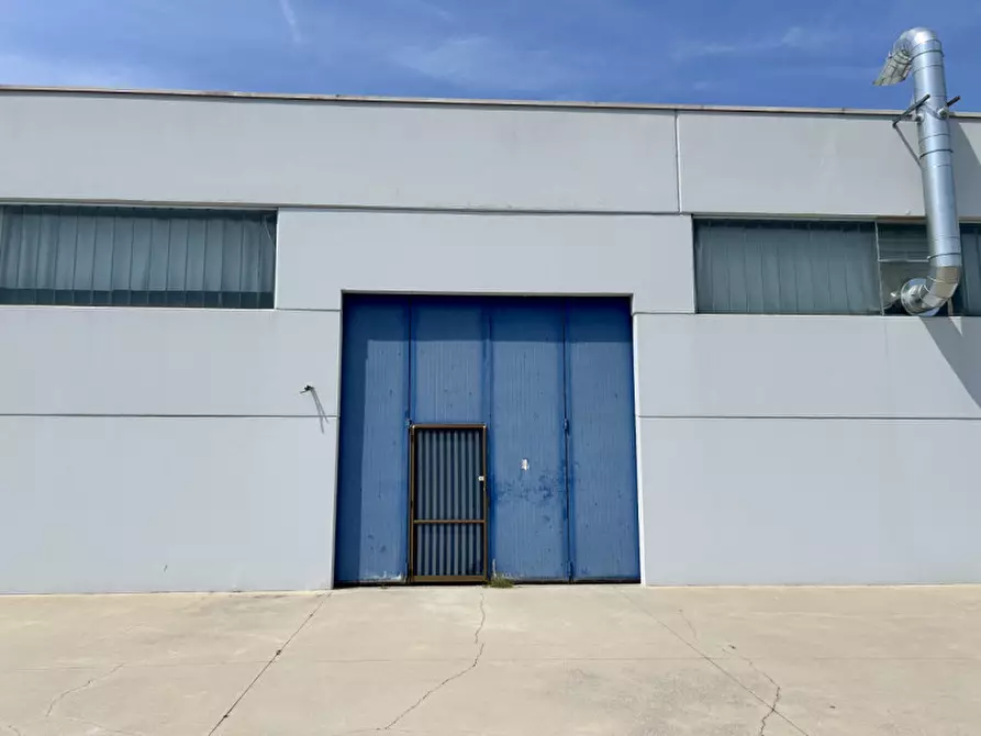 Immagine 6 di Capannone industriale in affitto  in VIA ENZO NATTA a Pescantina