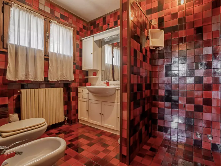 Immagine 20 di Villa in vendita  in Via Sottoprà a Solesino