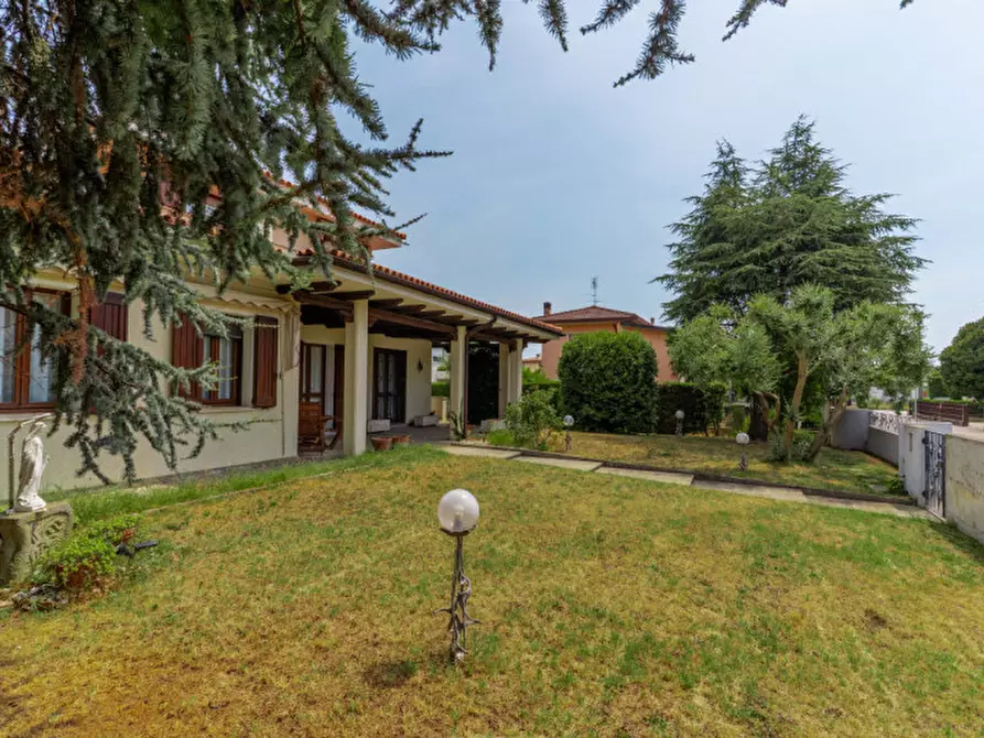 Immagine 24 di Villa in vendita  in Via Sottoprà a Solesino