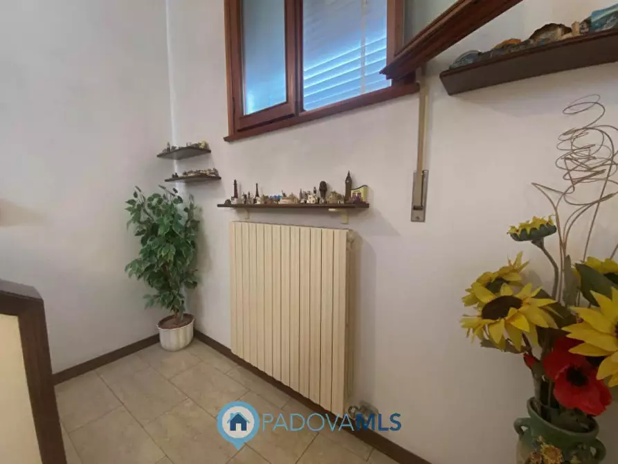 Immagine 4 di Villetta a schiera in vendita  in Via Roma a Pozzonovo