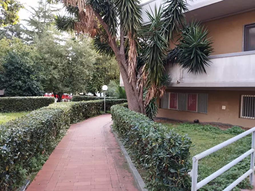 Immagine 2 di Ufficio in affitto  in Via Renato Paolini a Pescara