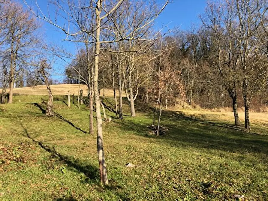 Immagine 4 di Rustico / casale in vendita  in Via del segaticcio a Valsamoggia