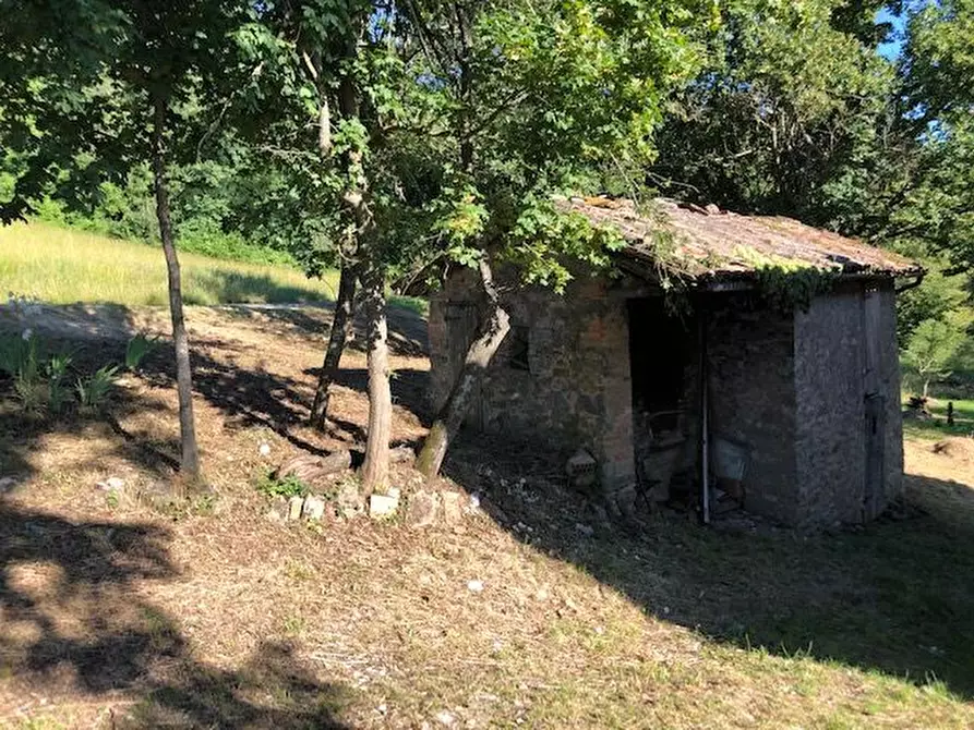 Immagine 5 di Rustico / casale in vendita  in Via del segaticcio a Valsamoggia