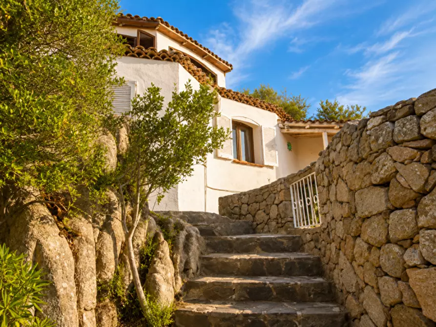 Immagine 3 di Villa in vendita  a Arzachena
