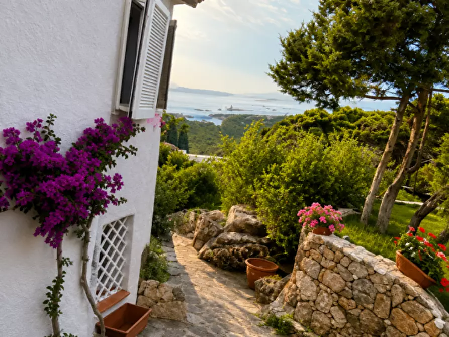 Immagine 13 di Villa in vendita  a Arzachena