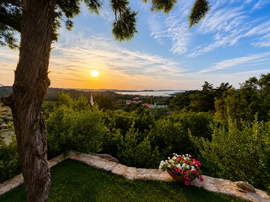 Immagine 15 di Villa in vendita  a Arzachena