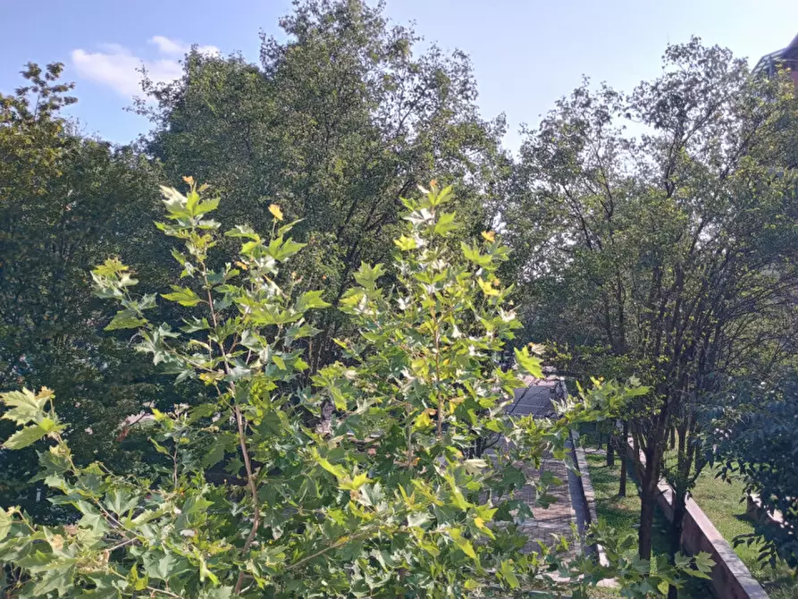 Immagine 6 di Capannone industriale in vendita  in Torino – Regio Parco / Giardini Reali.Via Fiochetto 35 a Torino