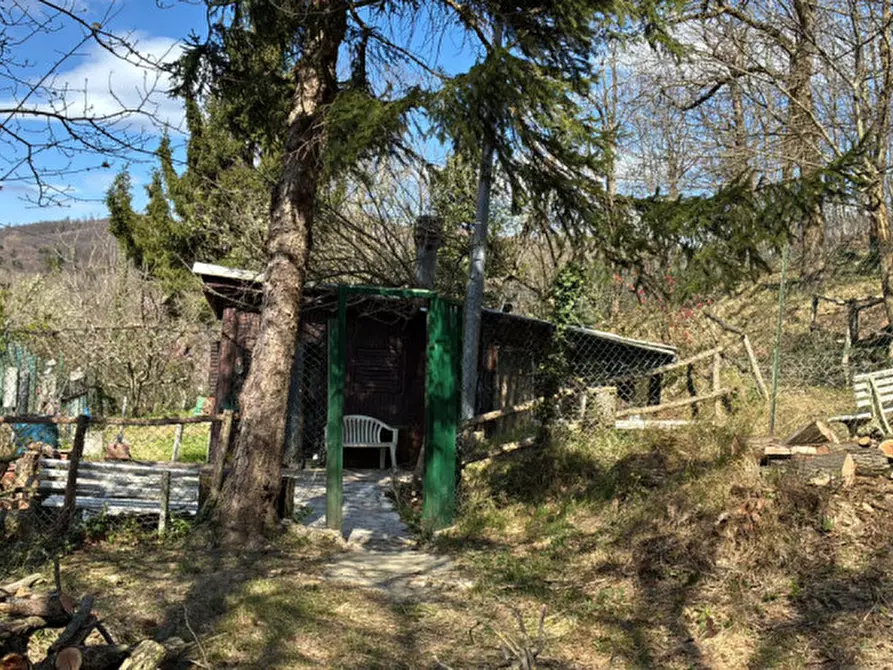 Immagine 8 di Rustico / casale in vendita  in Santa Giustina a Stella