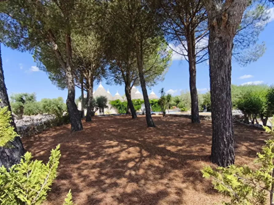 Immagine 16 di Rustico / casale in vendita  in Cerrosa a Locorotondo
