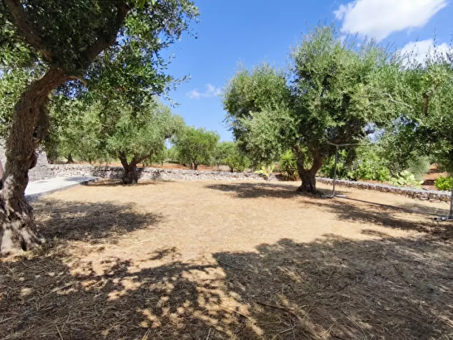 Immagine 26 di Rustico / casale in vendita  in Cerrosa a Locorotondo