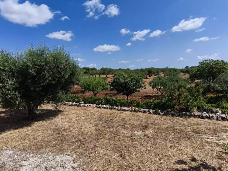 Immagine 65 di Rustico / casale in vendita  in Cerrosa a Locorotondo