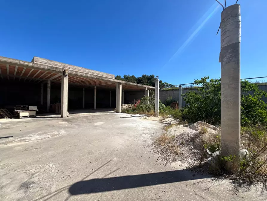 Immagine 8 di Villa in vendita  in Via Provinciale Gallipoli a Parabita