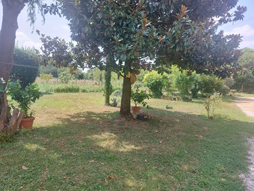 Immagine 3 di Casa indipendente in vendita  in via pirano a Padova