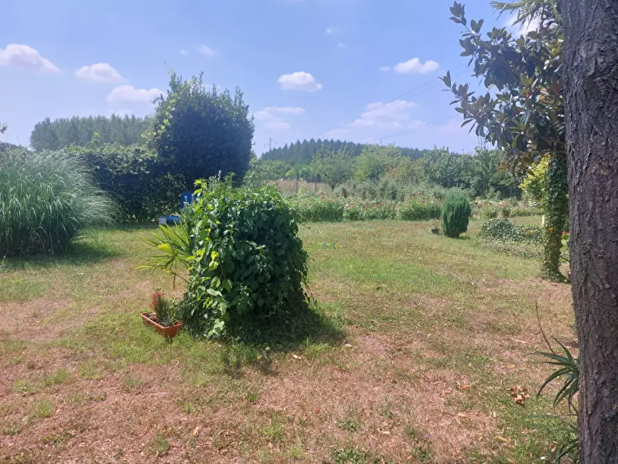Immagine 4 di Casa indipendente in vendita  in via pirano a Padova