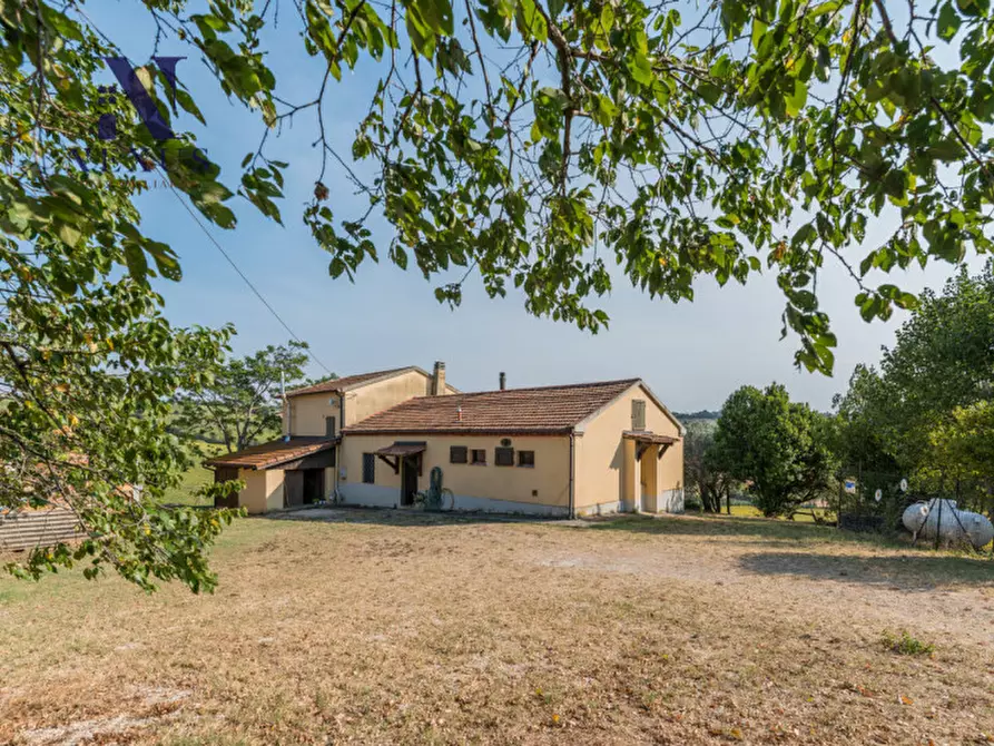 Immagine 3 di Villa in vendita  in vallone a Senigallia