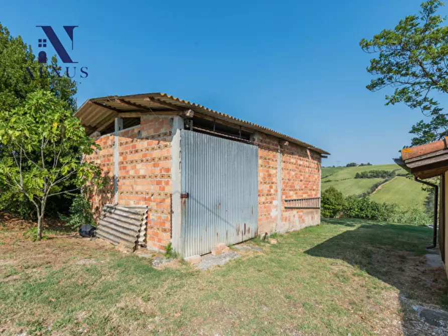 Immagine 31 di Villa in vendita  in vallone a Senigallia