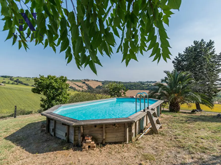 Immagine 33 di Villa in vendita  in vallone a Senigallia
