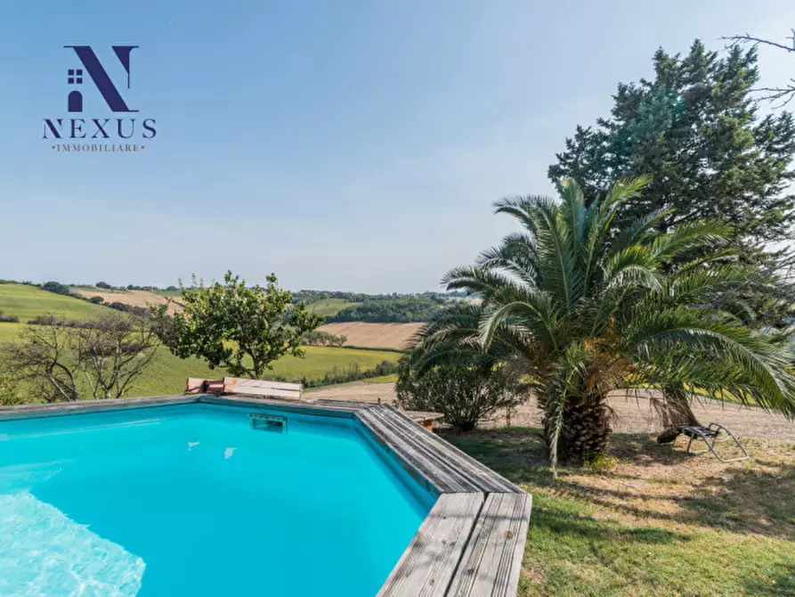 Immagine 35 di Villa in vendita  in vallone a Senigallia