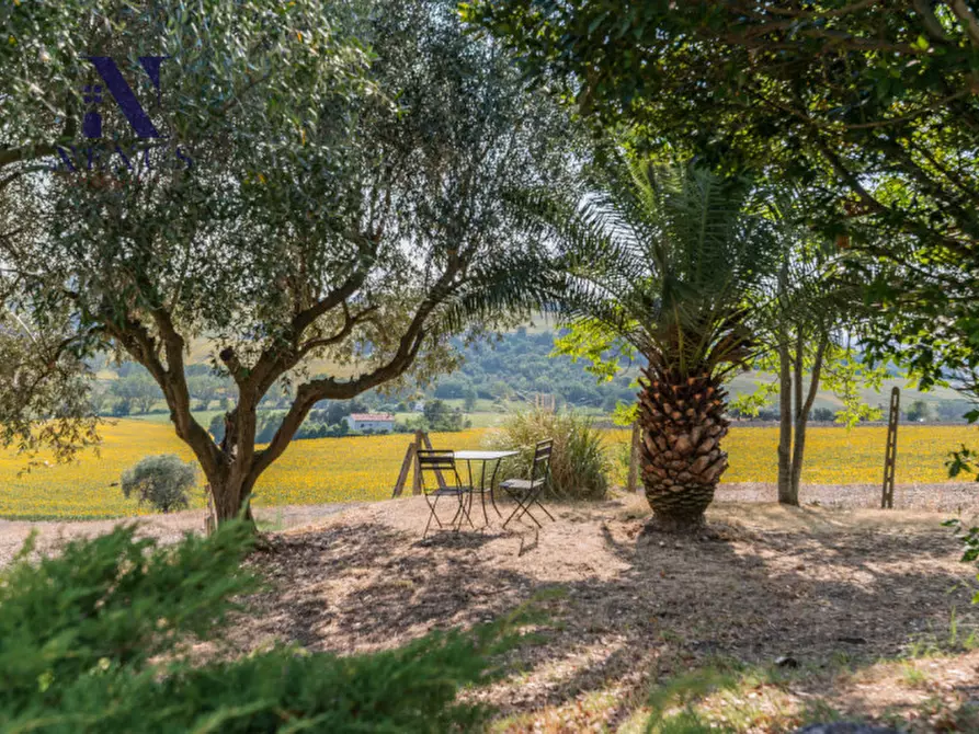 Immagine 41 di Villa in vendita  in vallone a Senigallia