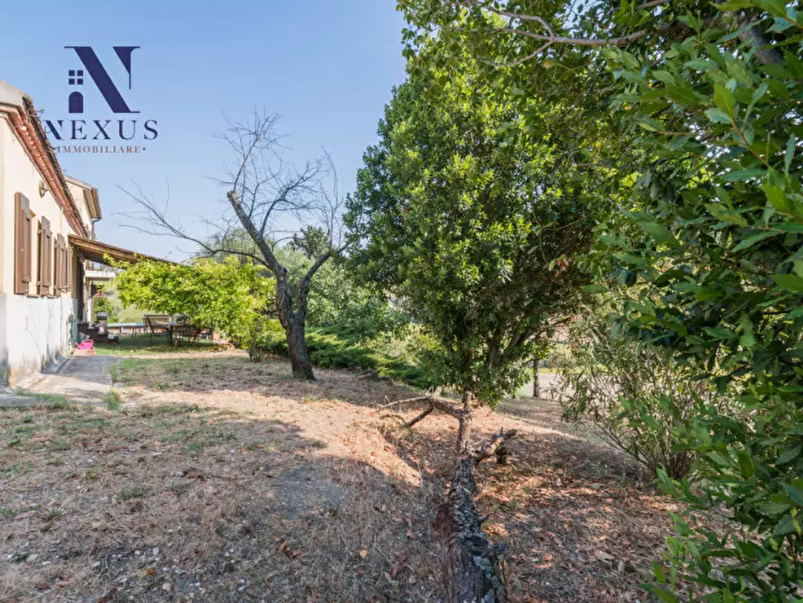Immagine 42 di Villa in vendita  in vallone a Senigallia