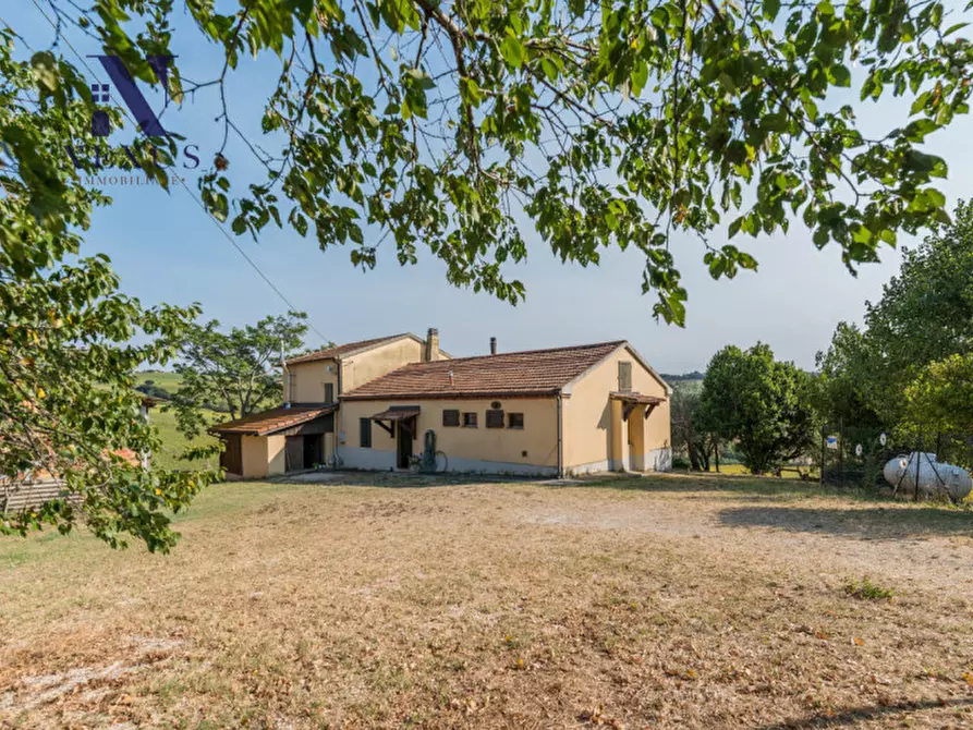 Immagine 43 di Villa in vendita  in vallone a Senigallia