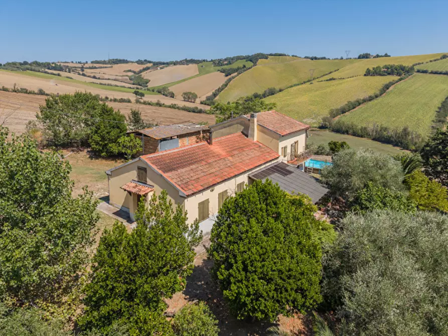 Immagine 45 di Villa in vendita  in vallone a Senigallia
