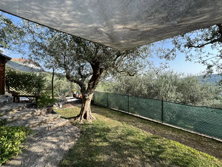 Immagine 48 di Rustico / casale in vendita  in via dei ciliegi a Mezzane Di Sotto