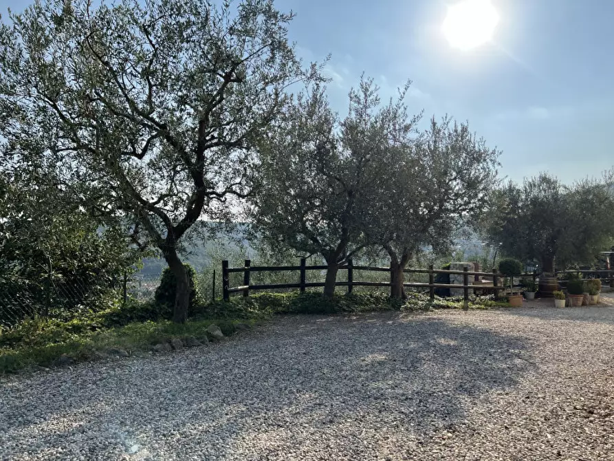 Immagine 58 di Rustico / casale in vendita  in via dei ciliegi a Mezzane Di Sotto