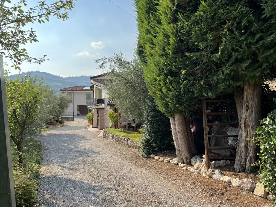 Immagine 60 di Rustico / casale in vendita  in via dei ciliegi a Mezzane Di Sotto