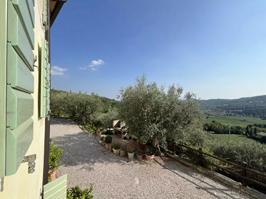 Immagine 61 di Rustico / casale in vendita  in via dei ciliegi a Mezzane Di Sotto