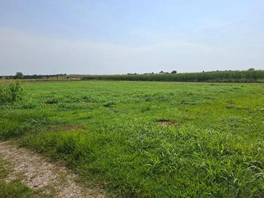 Immagine 20 di Rustico / casale in vendita  a Valeggio Sul Mincio