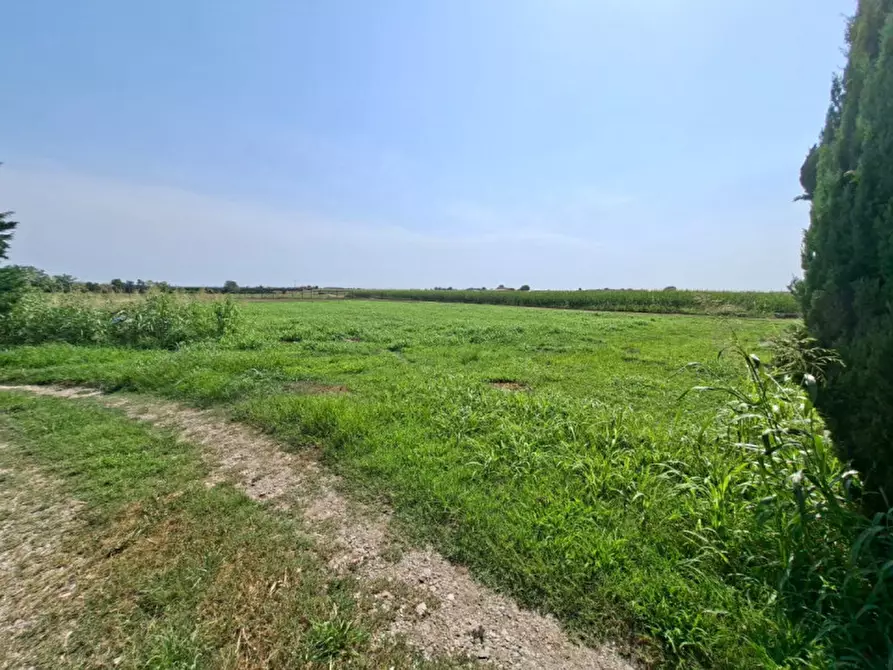Immagine 21 di Rustico / casale in vendita  a Valeggio Sul Mincio