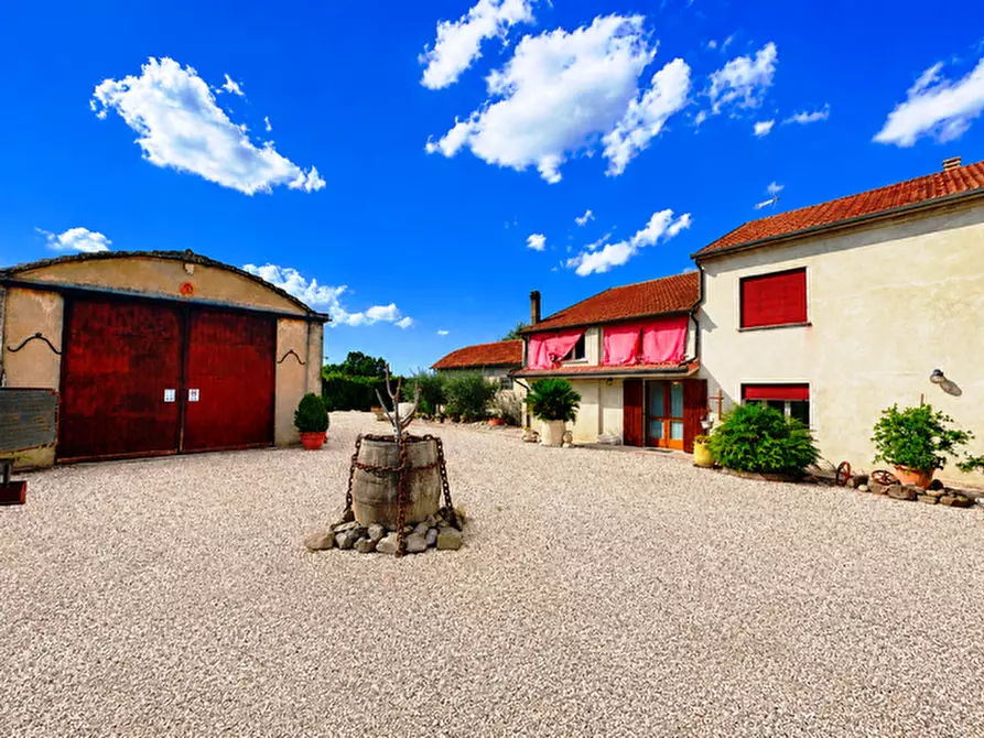 Immagine 1 di Casa indipendente in vendita  a Badia Polesine