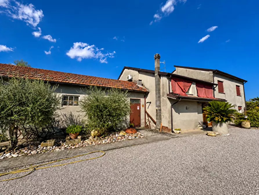 Immagine 2 di Casa indipendente in vendita  a Badia Polesine