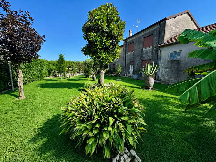Immagine 3 di Casa indipendente in vendita  a Badia Polesine