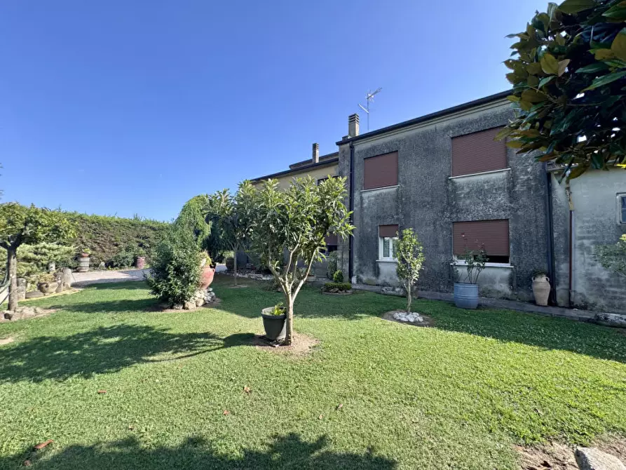 Immagine 4 di Casa indipendente in vendita  a Badia Polesine