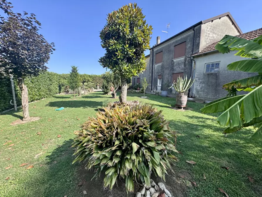 Immagine 5 di Casa indipendente in vendita  a Badia Polesine