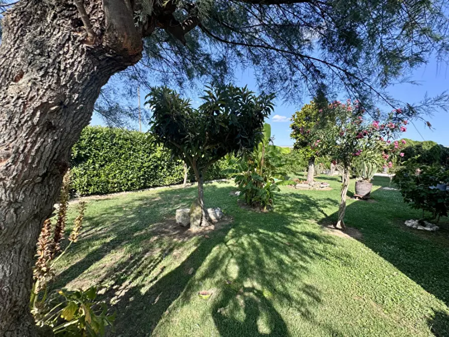 Immagine 6 di Casa indipendente in vendita  a Badia Polesine