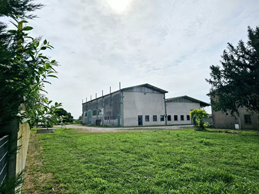 Immagine 9 di Capannone industriale in vendita  in VIA GRANZETTE a Monselice