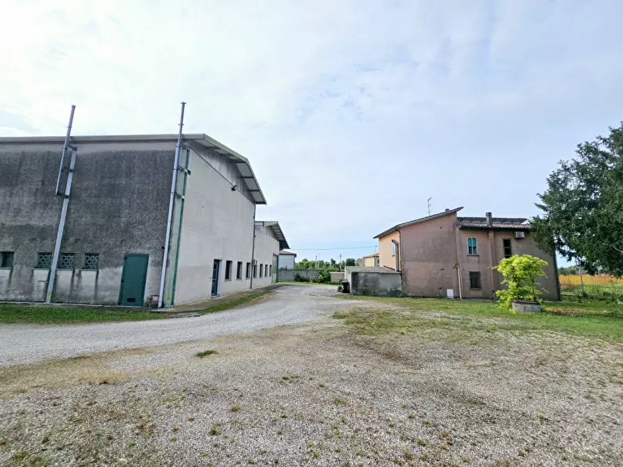 Immagine 14 di Capannone industriale in vendita  in VIA GRANZETTE a Monselice